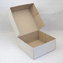 Коробка  230*230*100 біла