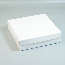 Коробка для суші на 4-5 ролів 200*200*50 Біла 