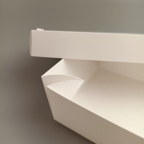 фото Коробка для суши и наборов (белая) 200*150*50 мм